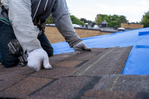 Best Roof Gutter Cleaning  in Port Angeles East, WA